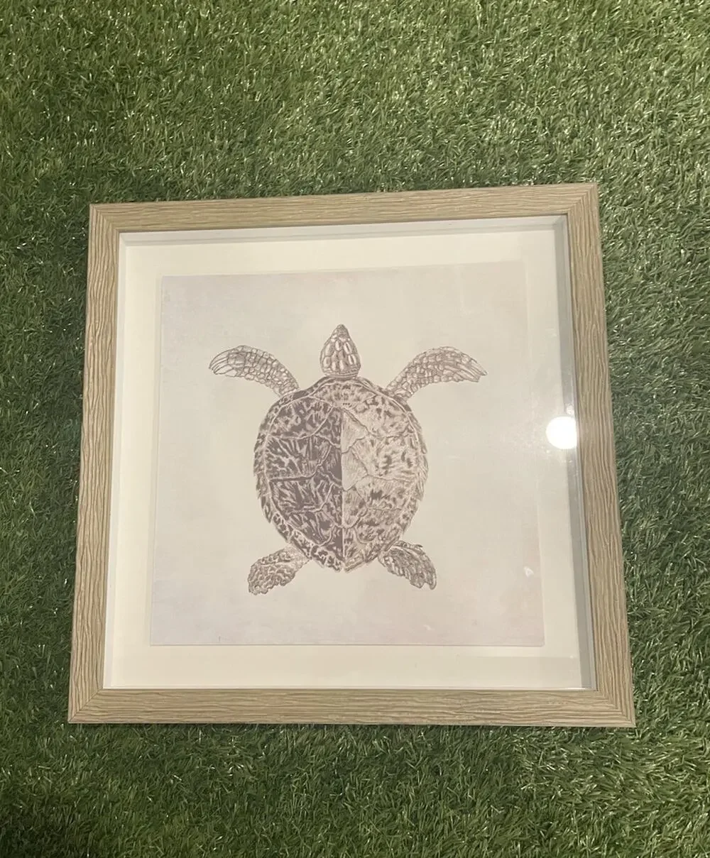 Coastal Sea Turtle Sketch Shadow Box Framed Wall Art Print Grey Matt 18
